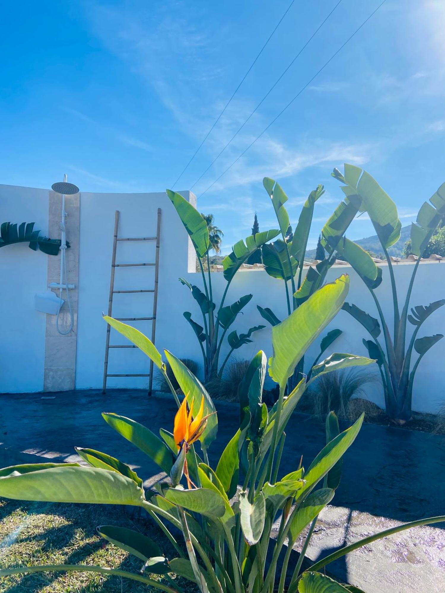 Casa Avellana Villa Dénia Eksteriør billede
