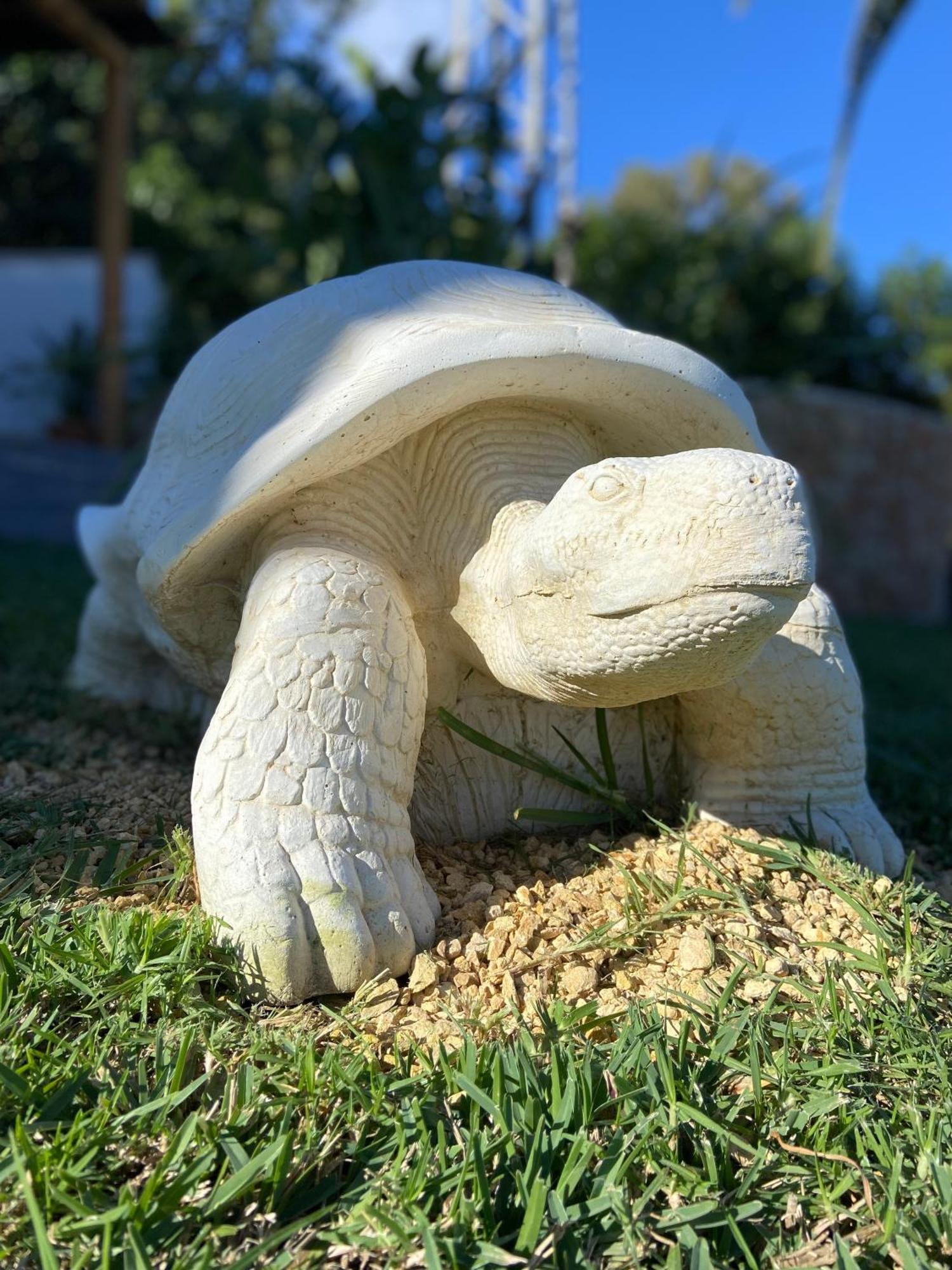 Casa Avellana Villa Dénia Eksteriør billede
